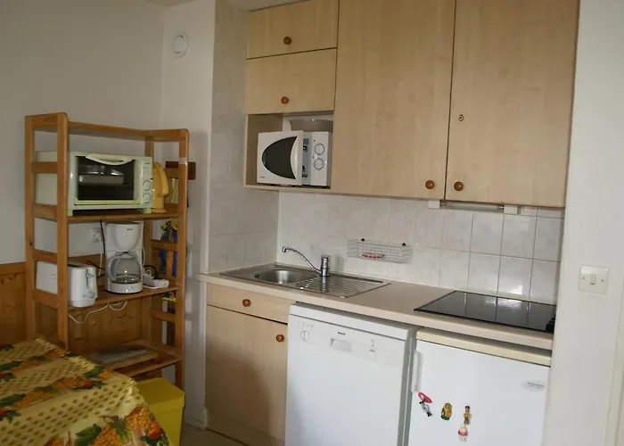 Confortable 2 Pieces Au Pied Des Pistes - Fr-1-557-93